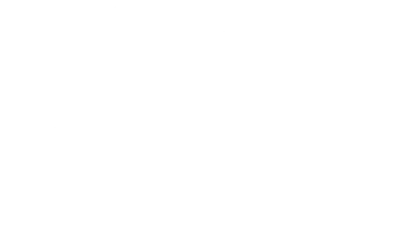 r+m-eurooriginal-logo-profesionalne-masine-distributeri