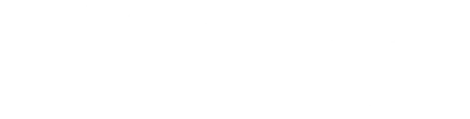 wirbel-eurooriginal-logo-profesionalne-masine-distributeri