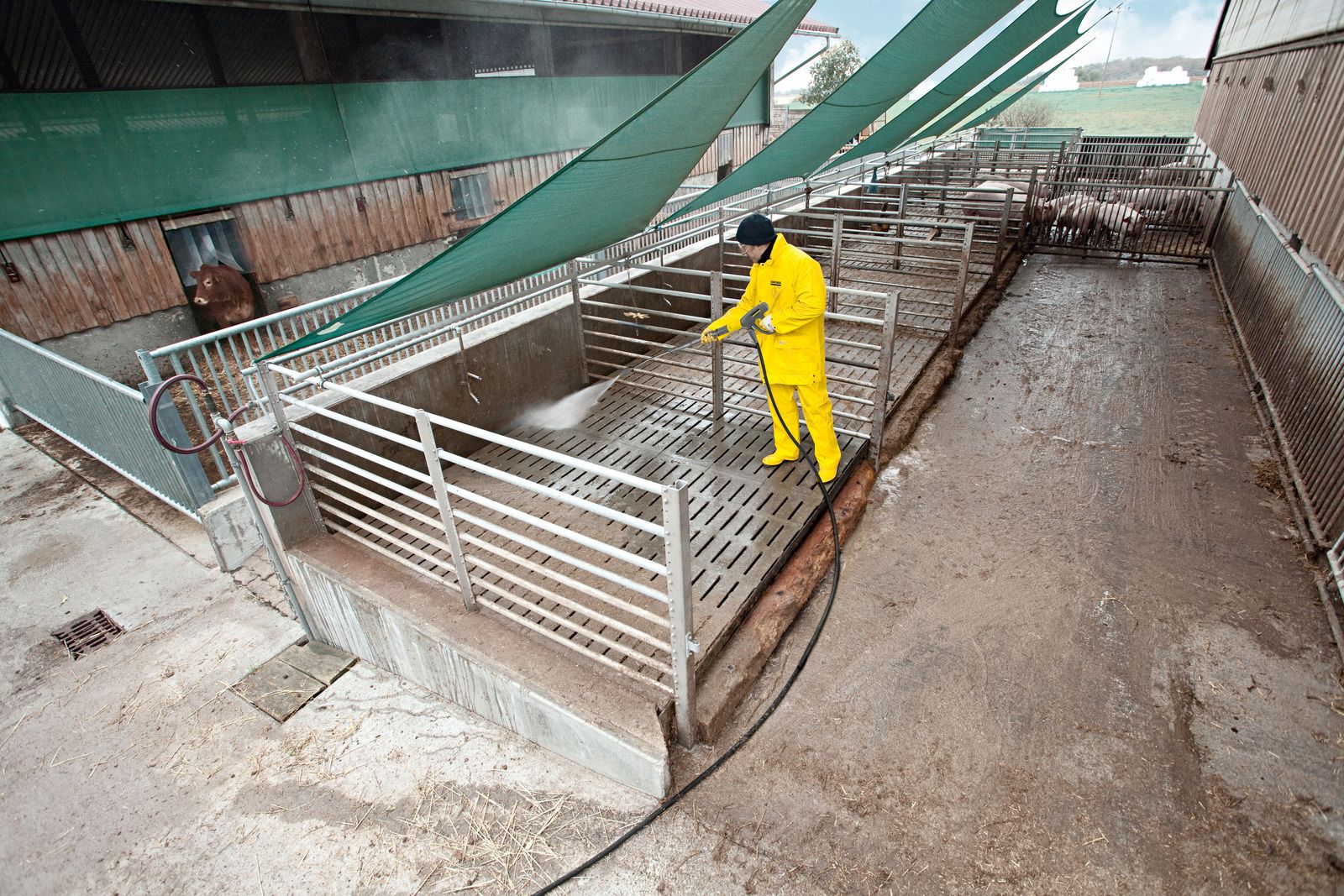 KARCHER HD 25/15-4 CAGE PLUS - Image 2